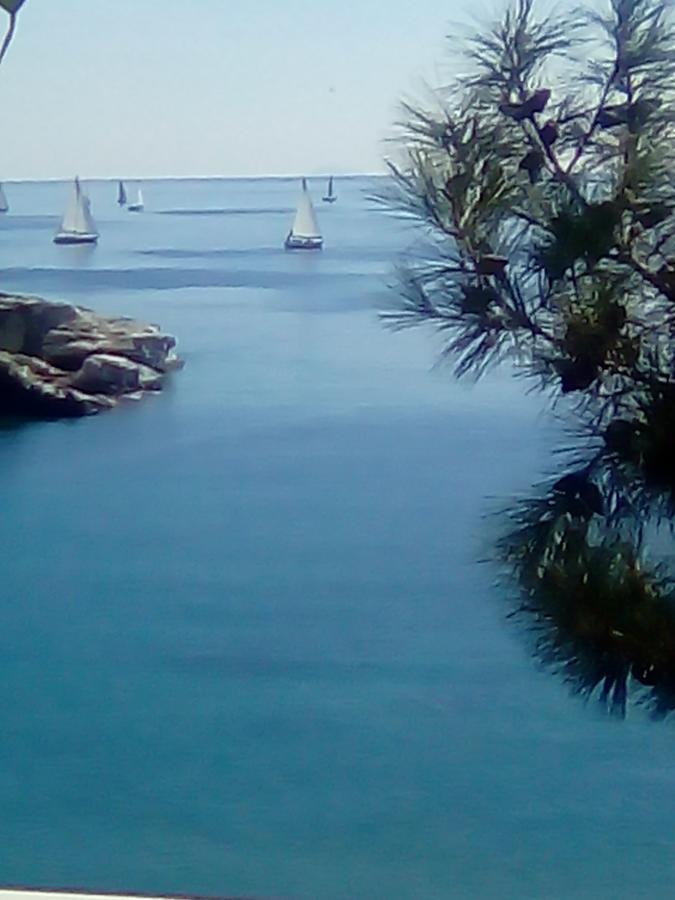 Everlasting Sea PalaiónTsiflíkion Εξωτερικό φωτογραφία
