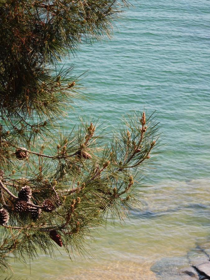 Everlasting Sea PalaiónTsiflíkion Εξωτερικό φωτογραφία