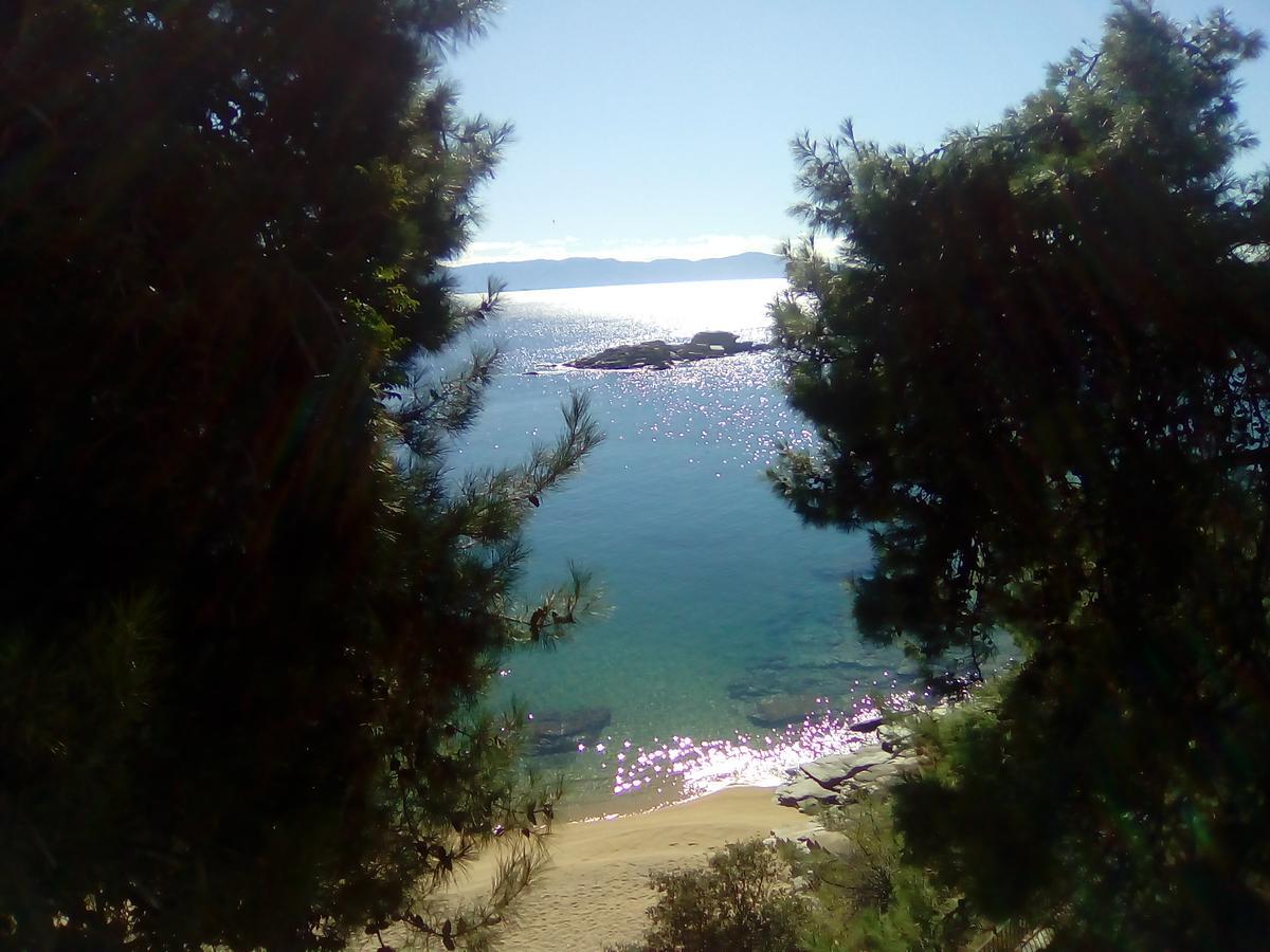 Everlasting Sea PalaiónTsiflíkion Εξωτερικό φωτογραφία